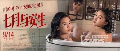 国产女同视频,细腻情感与独特视角的视听盛宴  第2张